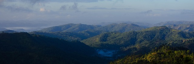 Piney Ridge Center
