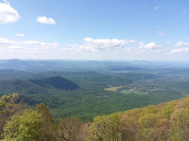 Piney Ridge Center