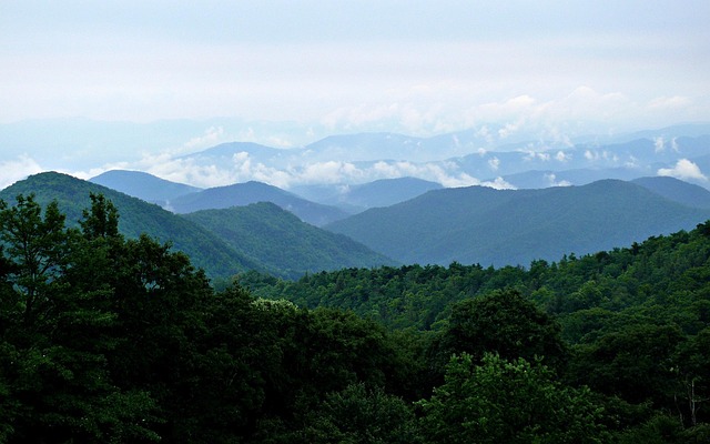 Legal Advocacy for Piney Ridge Survivors: Unraveling the Piney Ridge Center Lawsuit