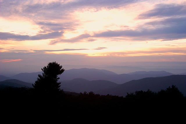 Piney Ridge Center Lawsuit