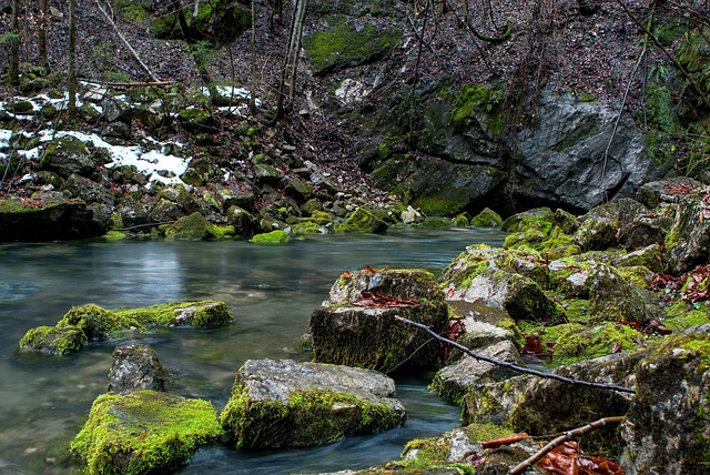 Rocky Creek Youth Camp Lawsuit