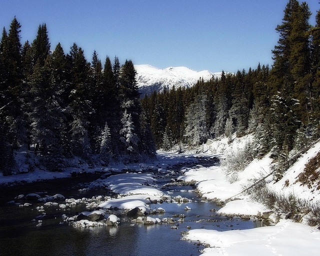 Rocky Creek Youth Camp Lawsuit