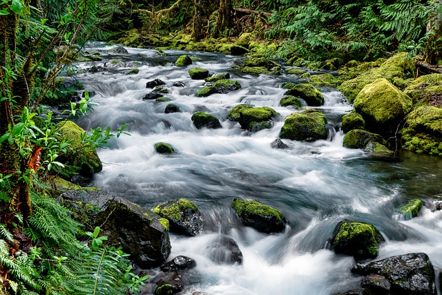 Rocky Creek Youth Camp Lawsuit