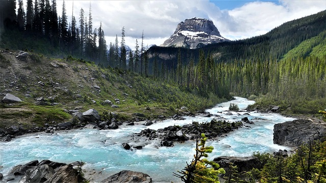 Rocky Creek Youth Camp Lawsuit