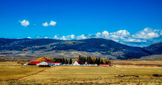 Uncovering Misconduct: The W E Sears Lawsuit at Valley Springs Youth Ranch