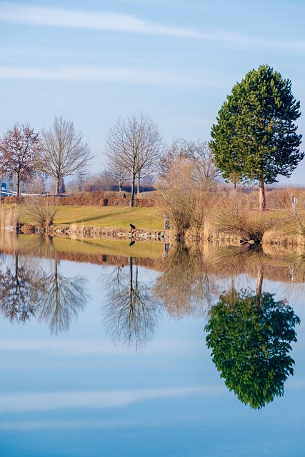 Change Academy at Lake of the Ozarks Institute Lawyer
