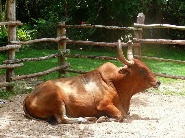 circle-of-hope-girls-ranch-lawsuit-640x480-23839693.jpeg