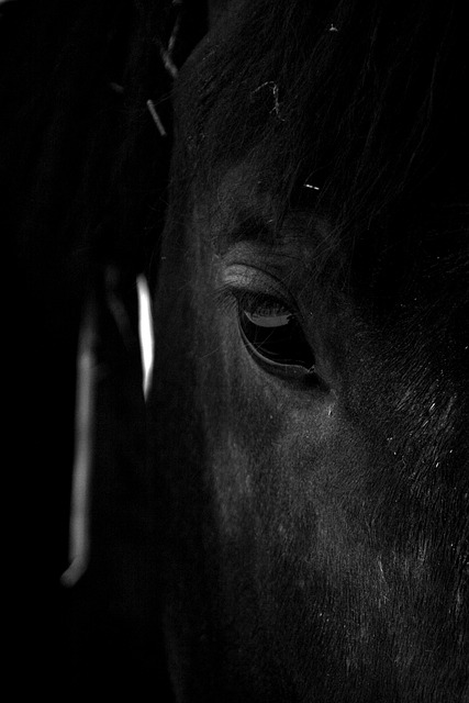 Masters Ranch Abuse Victims