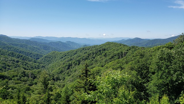 Piney Ridge Center