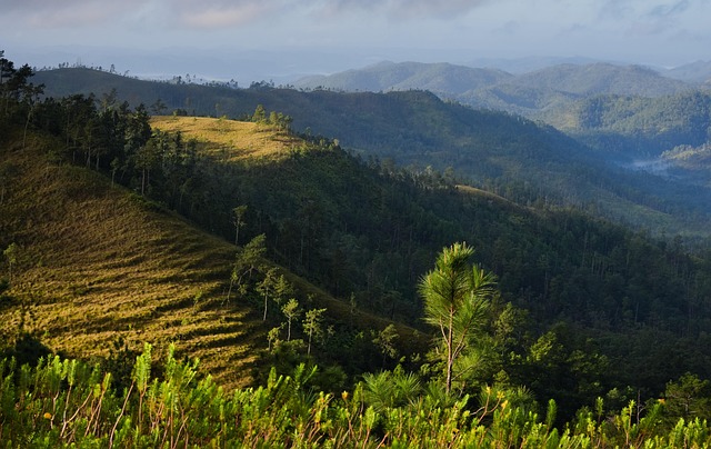 piney-ridge-center-640x480-50664378.jpeg