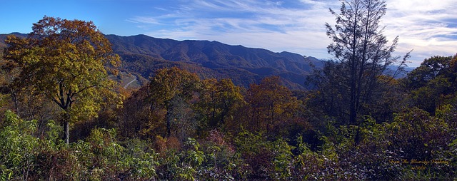 Piney Ridge Center