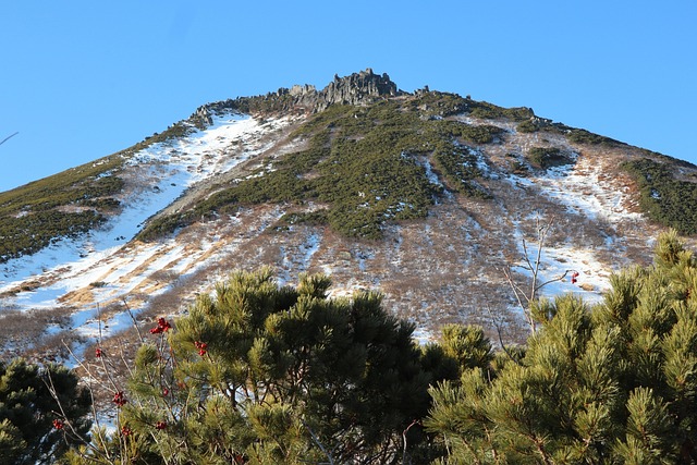 Piney Ridge Center
