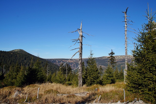 Piney Ridge Center Lawsuit