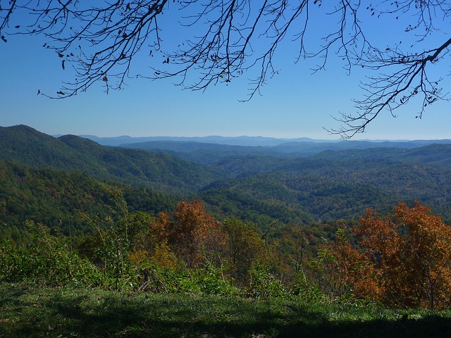 piney-ridge-center-lawsuit-640x480-48124539.jpeg