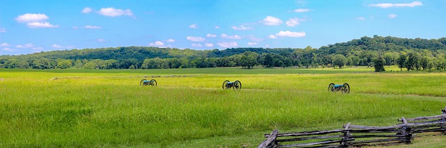 Piney Ridge Center Lawyer