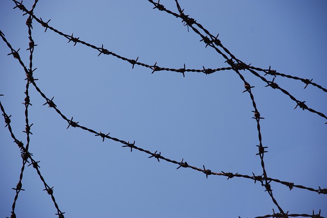 Rocky Creek Youth Camp Abuse Victims
