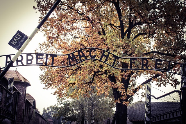 Unraveling Rocky Creek Youth Camp Lawsuits: Allegations and Fallout