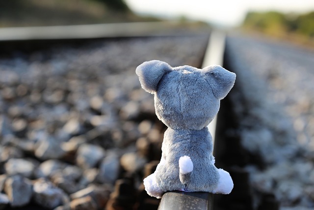 Shelterwood Academy Abuse Victims