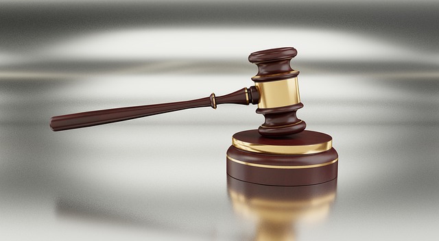 Shelterwood Academy Lawyer