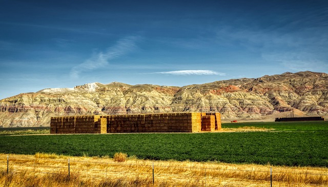 Valley Springs Youth Ranch and W E Sears Lawsuit