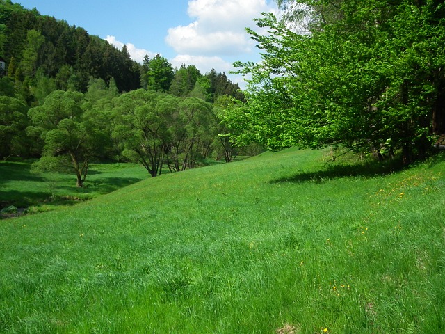 Valley Springs Youth Ranch and W E Sears