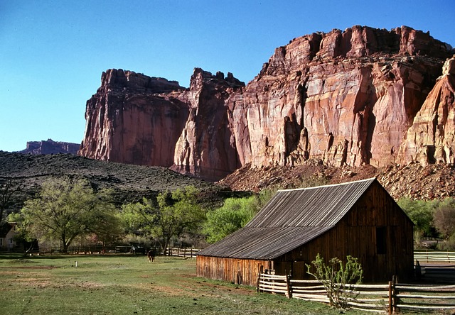Valley Springs Youth Ranch and W E Sears Attorney