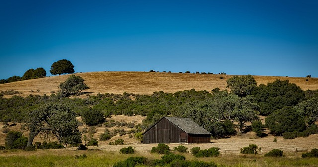 Valley Springs Youth Ranch and W E Sears