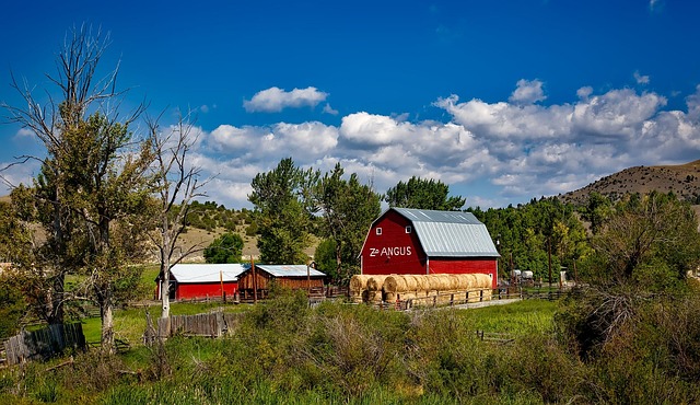 Valley Springs Youth Ranch and W E Sears Lawsuit
