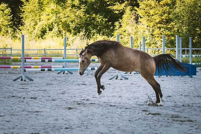 Circle of Hope Girls Ranch Lawsuit