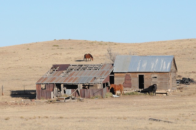masters-ranch-abuse-640x480-96330244.jpeg