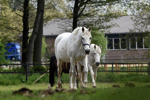 masters-ranch-lawsuit-640x480-85996825.jpeg