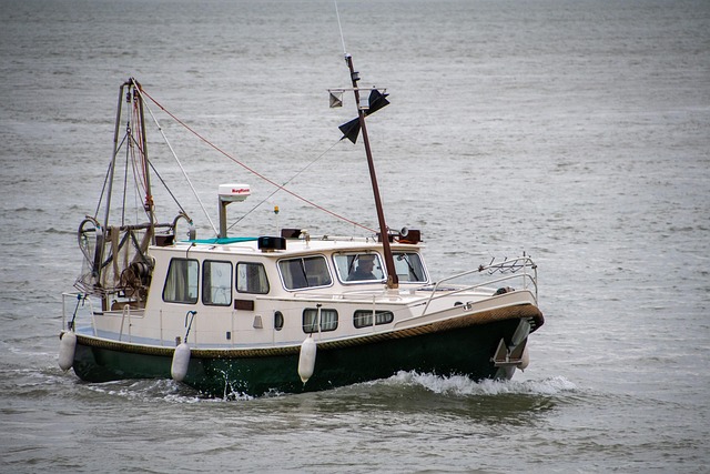Peoria Boat Accident
