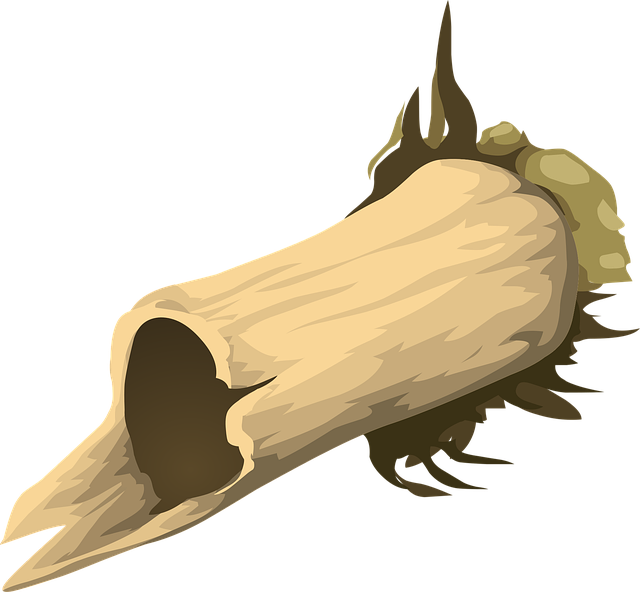peoria-injury-640x480-47622890.png
