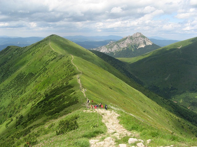 Piney Ridge Center