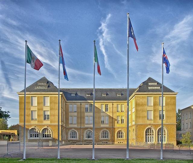 Shelterwood Academy