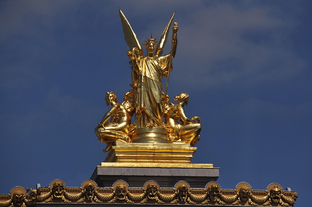 Shelterwood Academy Lawyer