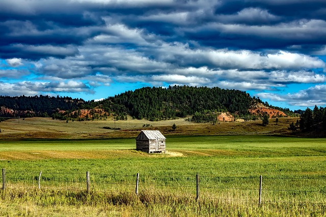 Valley Springs Youth Ranch and W E Sears Lawsuit
