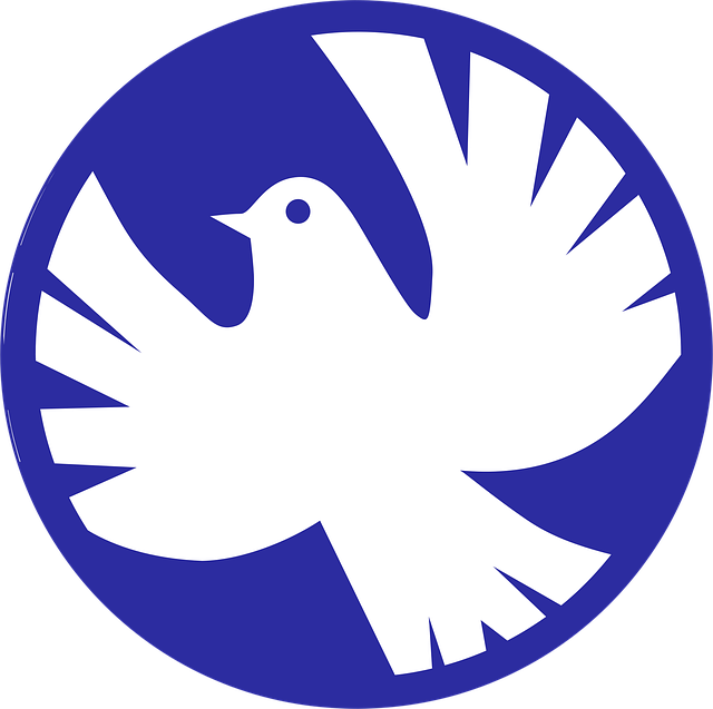circle-of-hope-girls-ranch-attorney-640x480-52019543.png