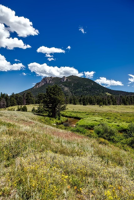 Rocky Creek Youth Camp Lawsuit